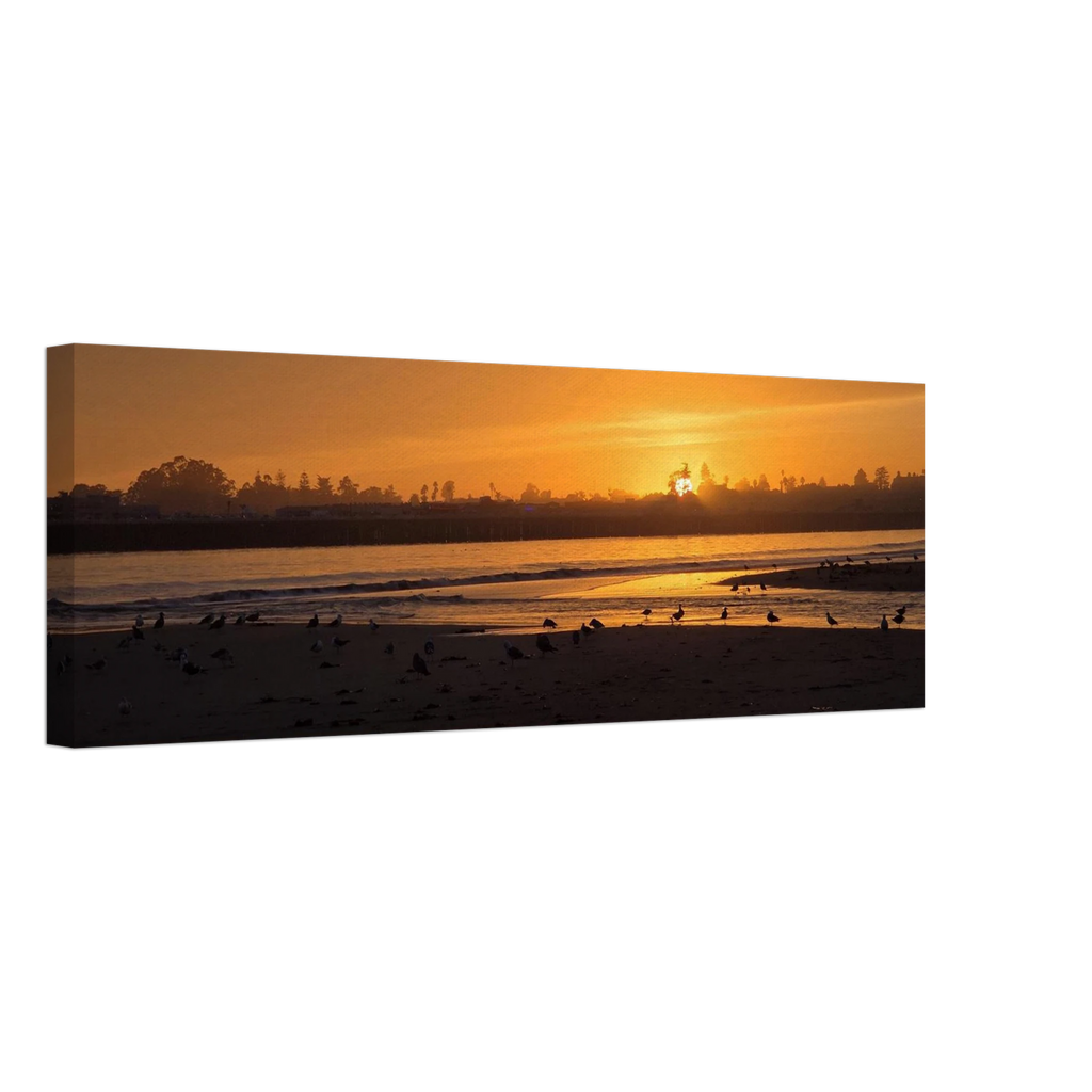 24c6ed64-842e-4ae6-bb8d-883eeaa8c020