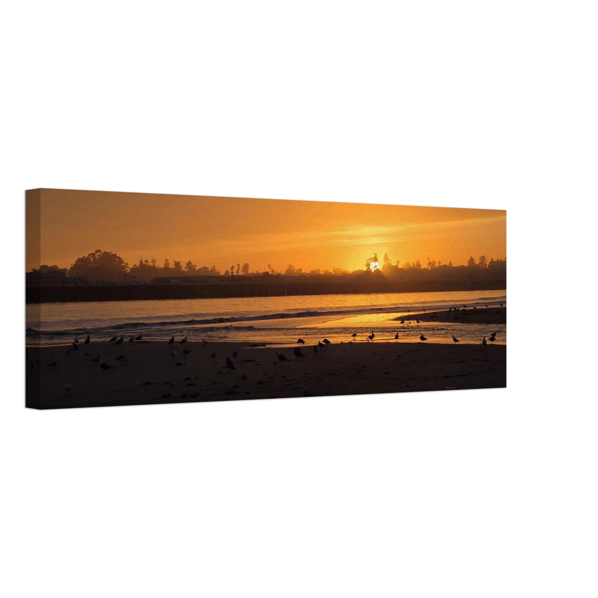 24c6ed64-842e-4ae6-bb8d-883eeaa8c020