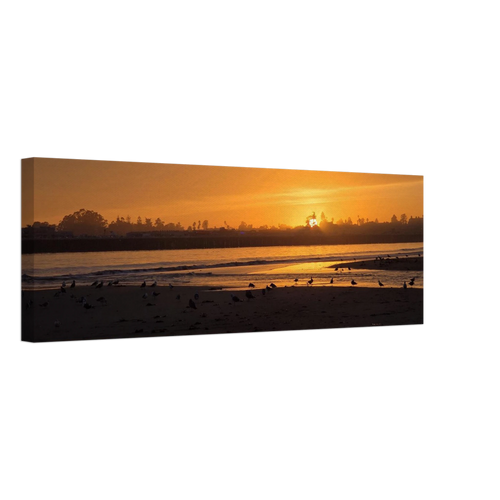 24c6ed64-842e-4ae6-bb8d-883eeaa8c020