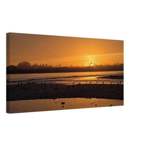 4d379432-84c1-4006-b8ea-532f35a02c9f