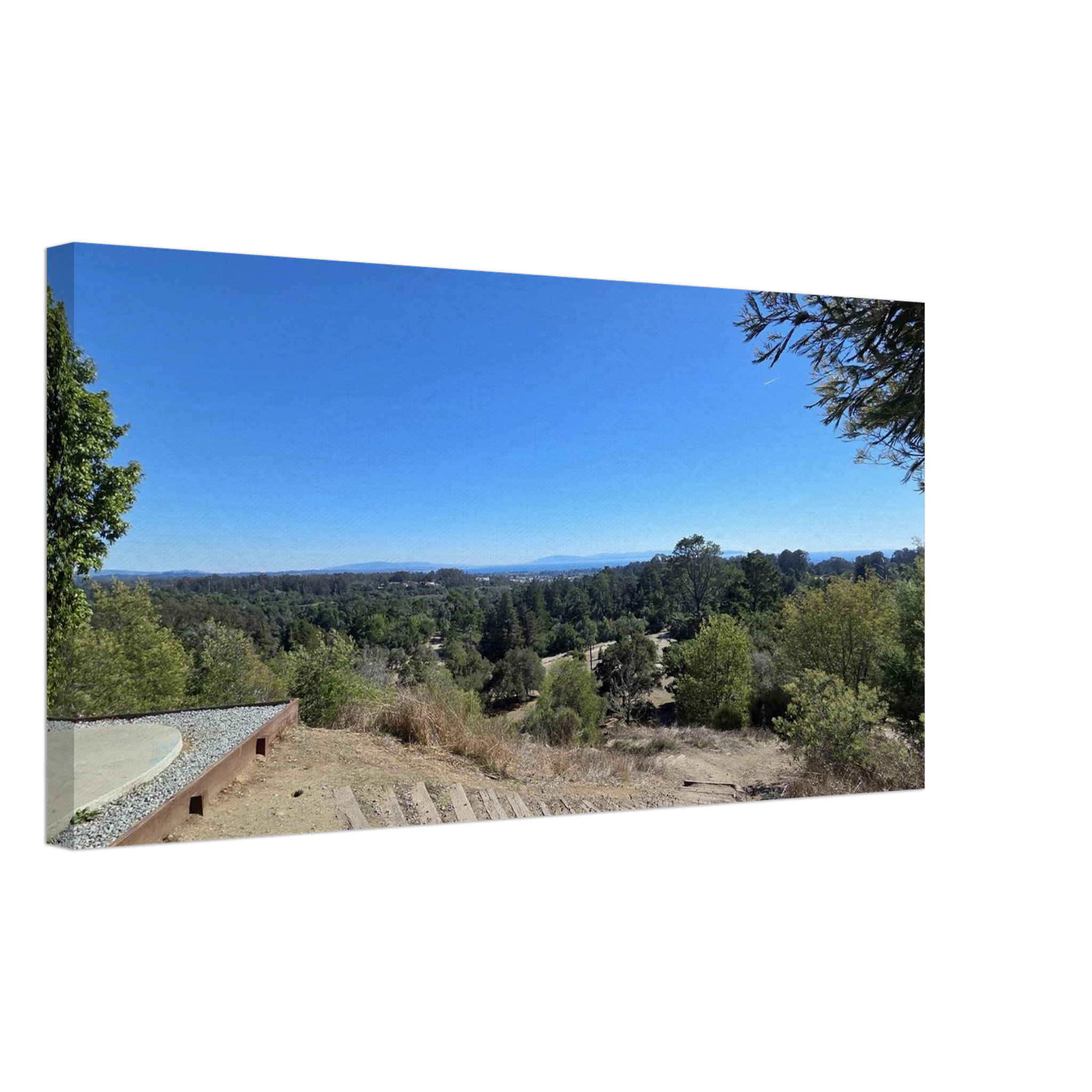 7f7a3ac5-64a3-4737-a73a-04c7a67a7fae