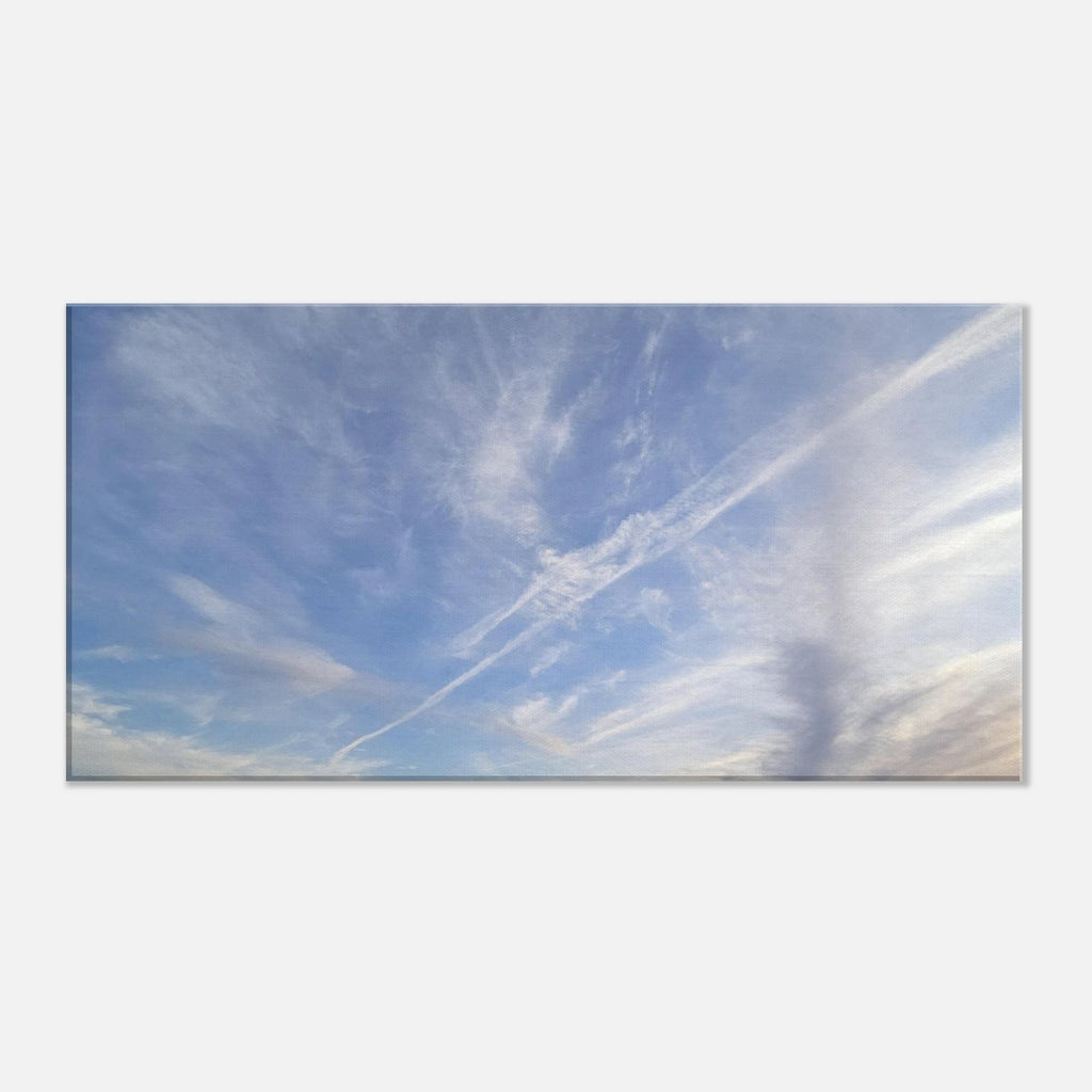 82e55149-fe07-46fc-828f-262d9dfb97a8