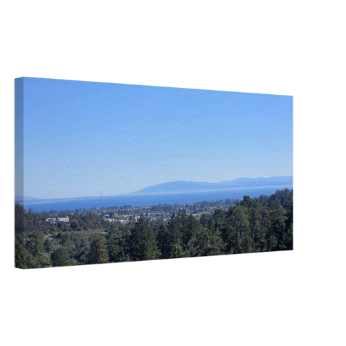 8a6f5e24-94e3-4813-a2fd-814b18dc6fa2