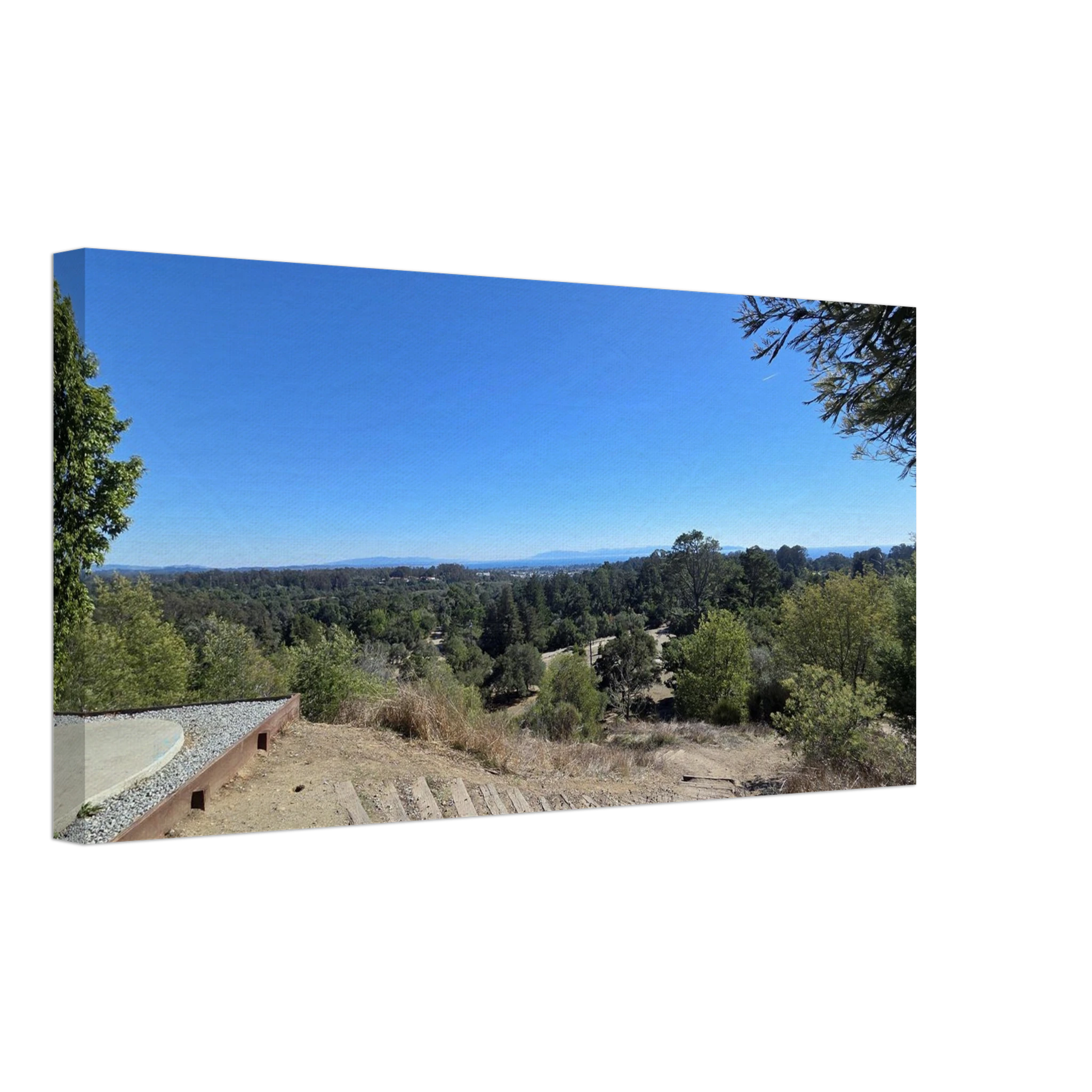 b6e588a4-b5ea-4b14-afc8-bea29d0f2b21