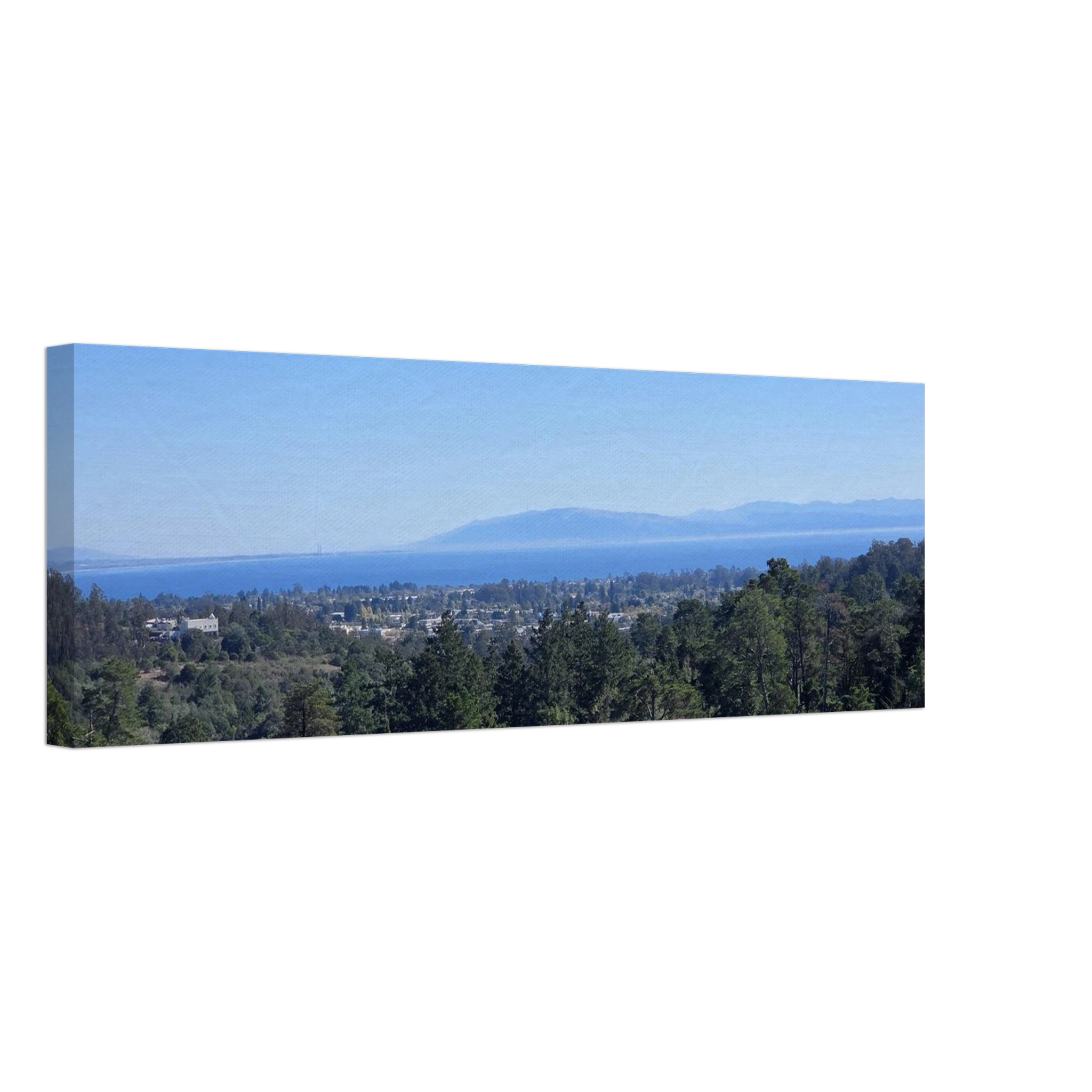 dd8bcf28-fca1-4ad0-8530-c048761f6957