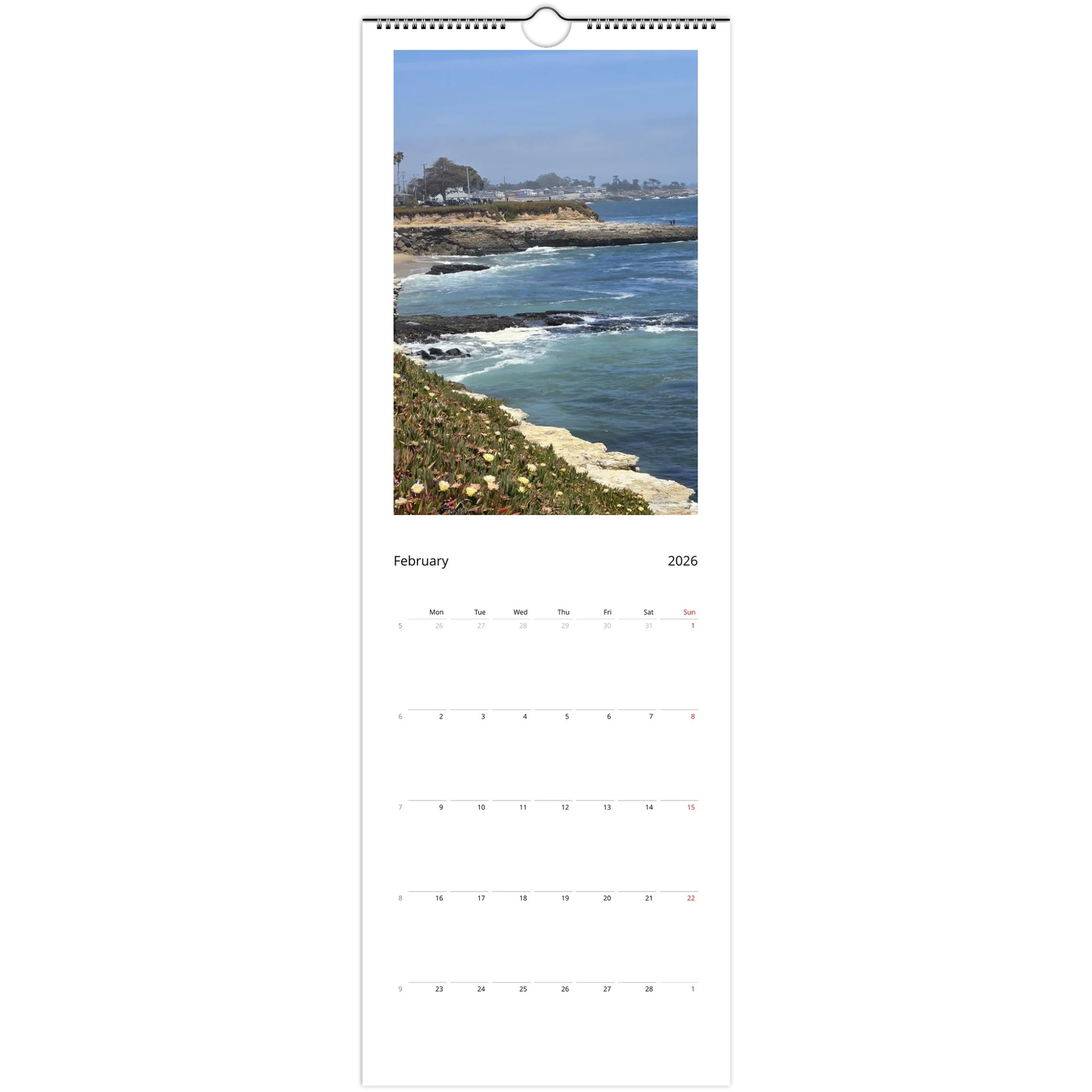 dfa78a55-3d77-4aa6-b416-ba8841722e3c