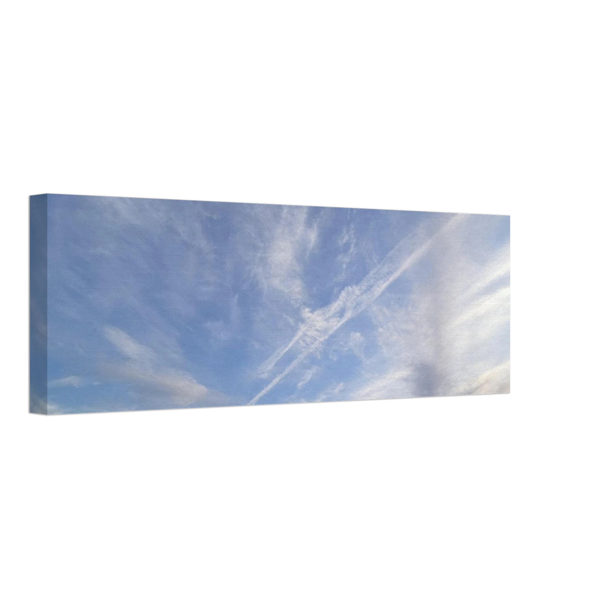 e16aec9c-c0d8-4b98-91e4-a8c63d5e0b88