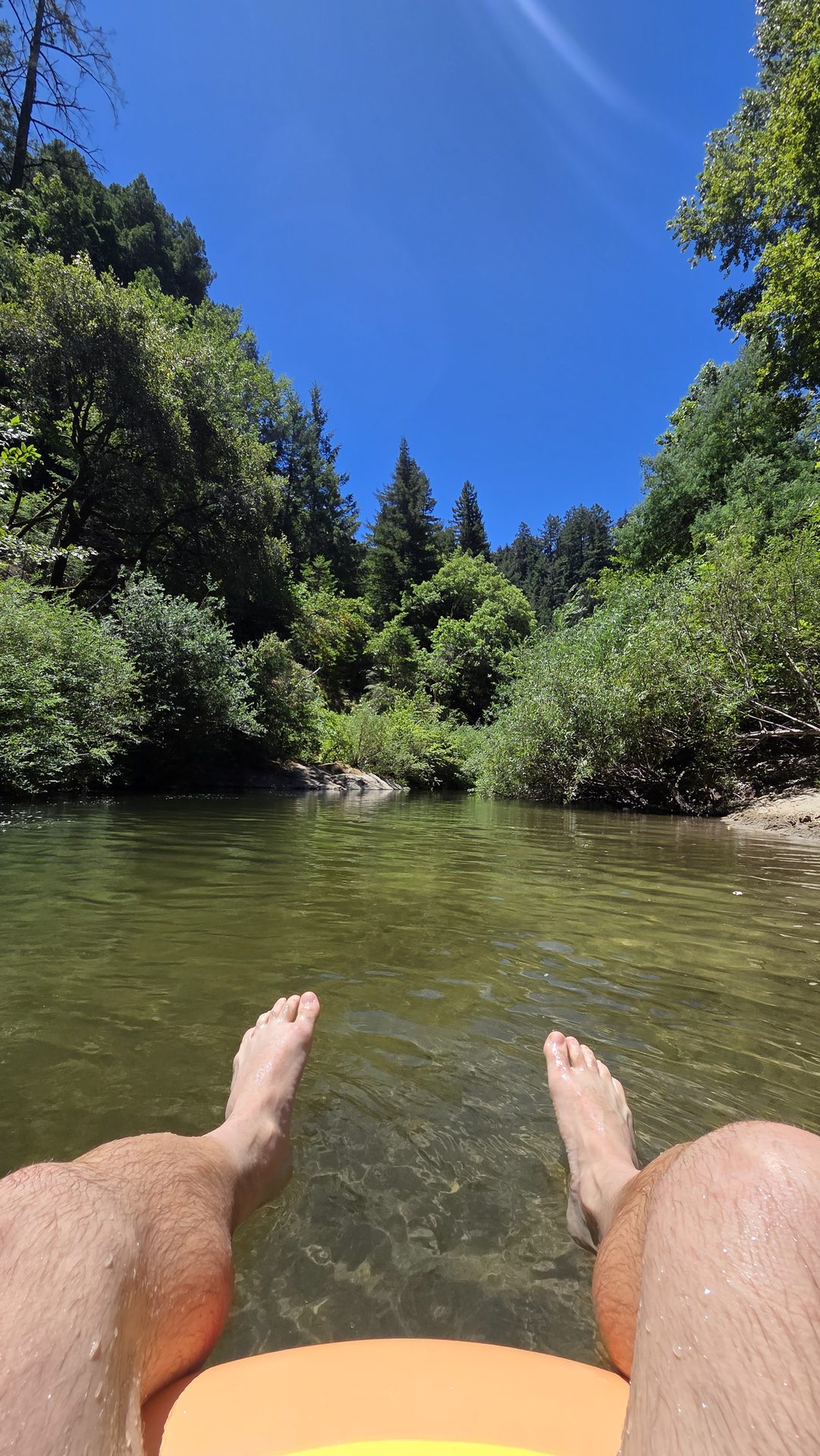 Creek in the redwoods