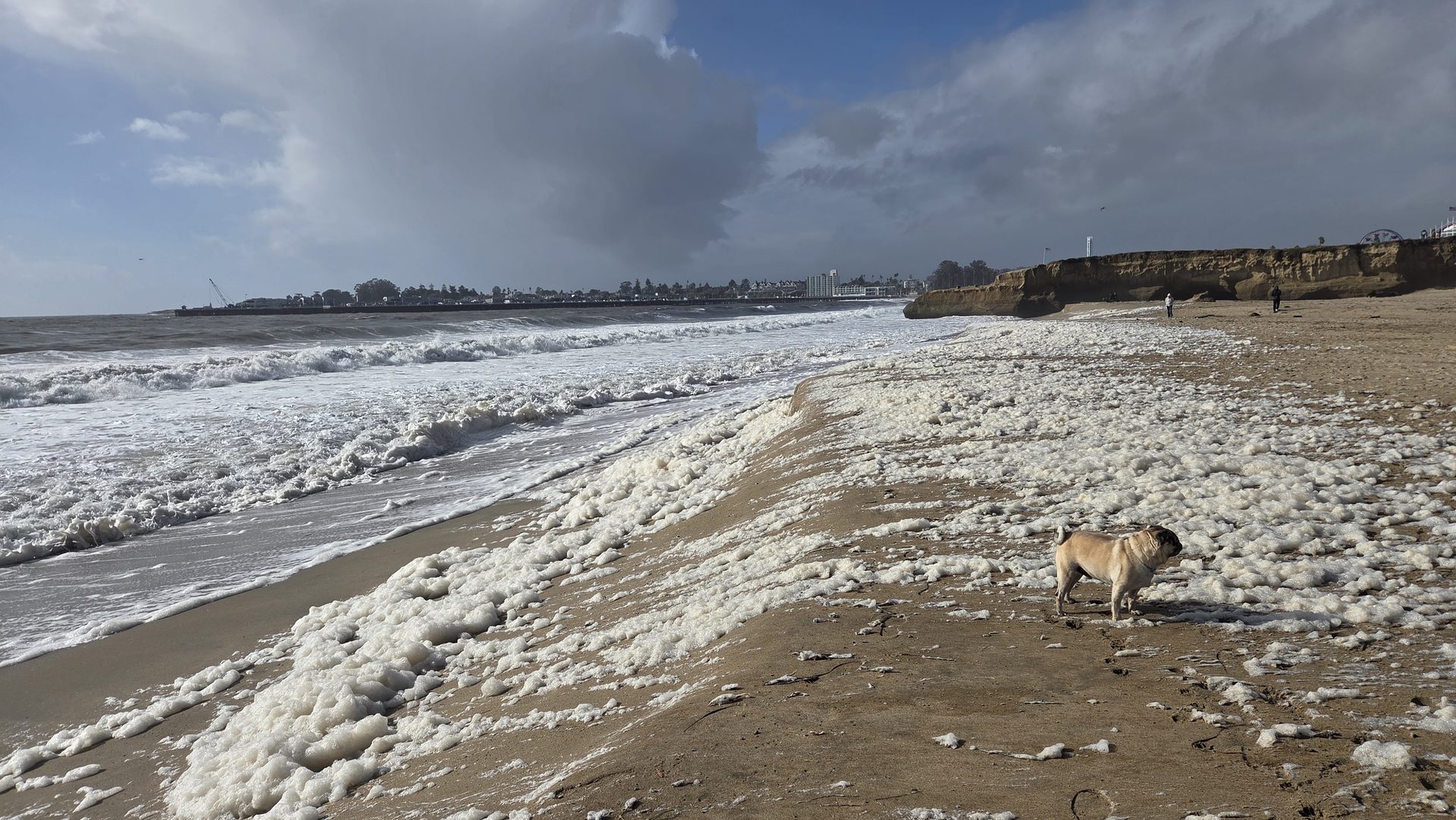 Sea foam, Christmas morning