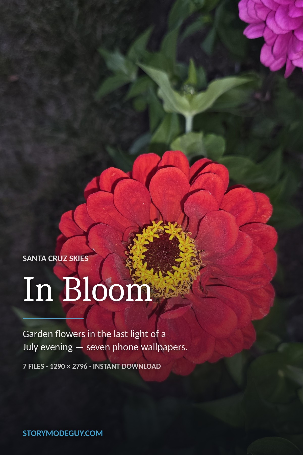 In Bloom phone wallpaper pack preview