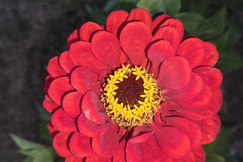 Deep red, last light