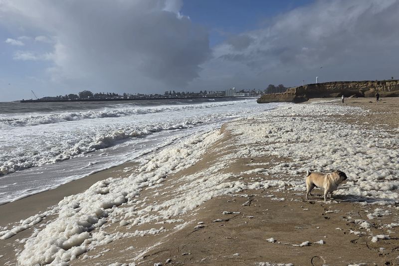 Sea foam, Christmas morning